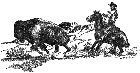 roping a buffalo